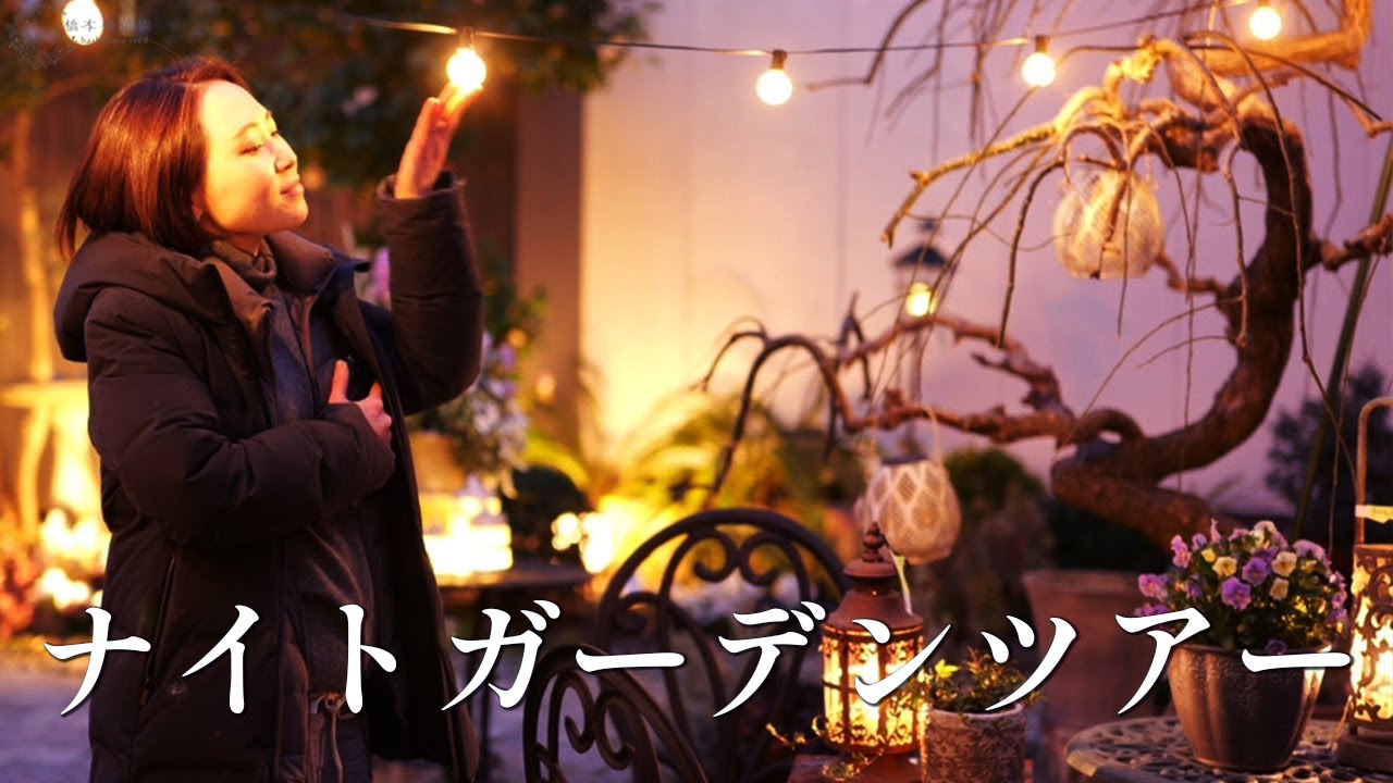 光触媒フラワー「静寂の森・聖域のキャンドル」三灯スタンド＆フラワーアレンジセット キャンドルを灯して】ナイトガーデンツアー♪【幻想的】 - YouTube