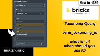 Taxonomy Query by field - term_taxonomy_id - what is it and should you use it? using Bricks Builder