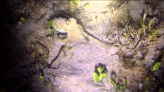 CyDive Cyprus