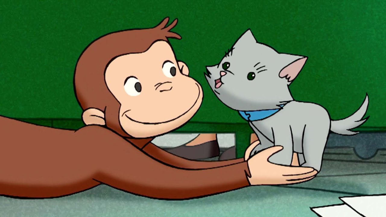 George si prende cura di un gattino 🐵 Curioso Come George 🐵 Cartoni per Bambini