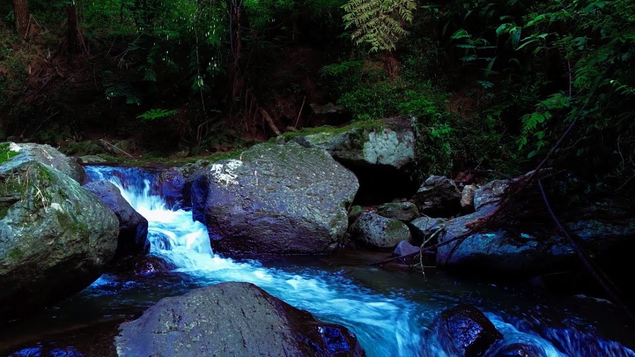 Pure Water River Lullaby – Nature Soundscape | sleep - relax - enjoy ...