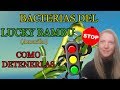 🎋BAMBU AMARILLO con BACTERIAS⚠️COMO COMBATIRLAS.@VeronicaCampaniniPlantas