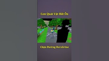 Con Quái Vật Bất Ổn Dám Chặn Đường Herobrine 🤣 #shorts