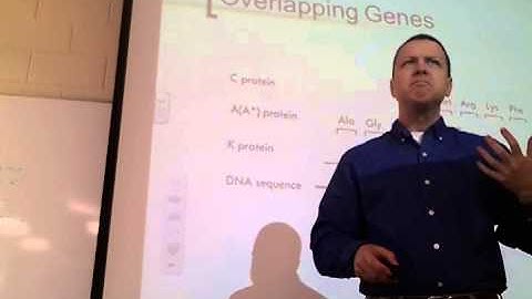 The genetic code and beginning of transcription