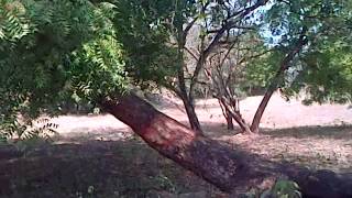 Diani Beach 2nd Row Plot