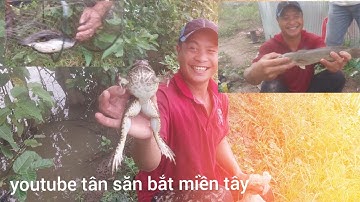 Tập 6, đặt lờ cá, sinh tồn trông cánh đồng, mùa nước nổi, trúng ếch khủng, cá lóc, cá thát lát, 