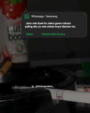 sw wa kata kata lagu yg enak buat gabut
