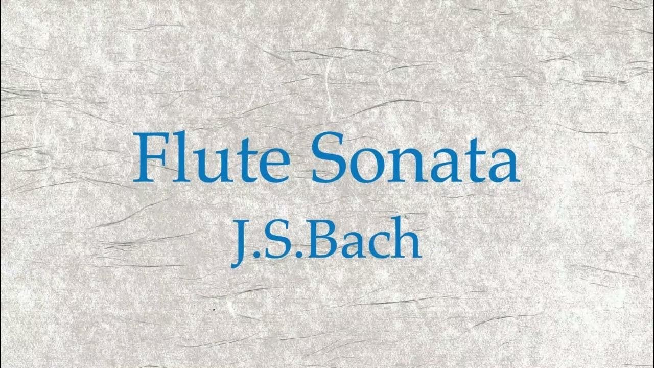 J.S.Bach - Flute Sonata in B minor BWV 1030-Presto - YouTube
