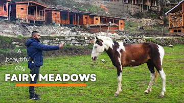 Why You Should Visit Fairy Meadows, Nanga Parbat, The Killer Mountain, Northern Pakistan, S2