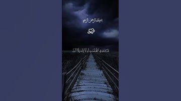 سورة المؤمنين #قران_كريم #تلاوة_خاشعة