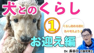 【犬のしつけ】子犬の成長を見ながら、犬との暮らし方やしつけ方法についてお話しして行く第１弾！！