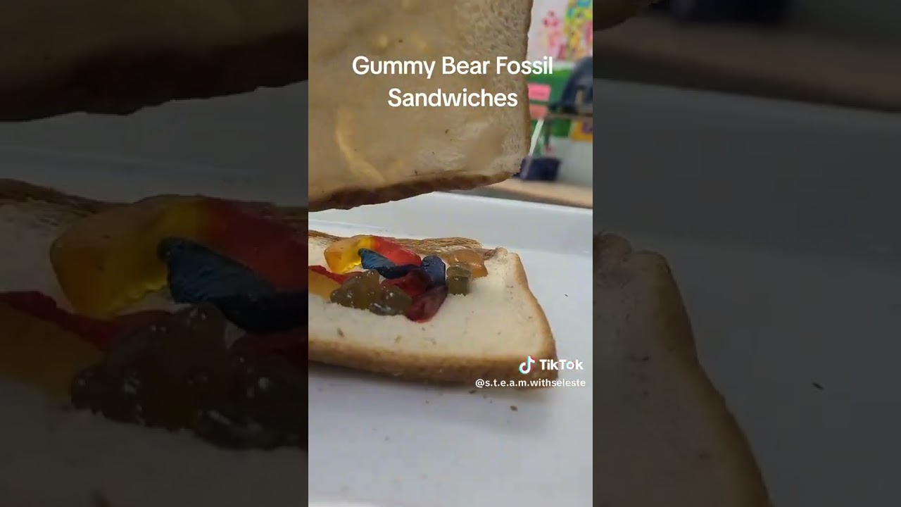 Gummy Fossil Sandwich 
