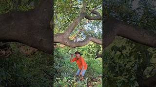 Wow This Is Serious Sir virals nature amazing