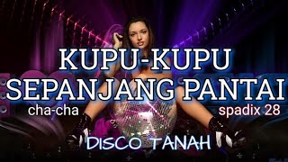 KUPU-KUPU SEPANJANG PANTAI - CHA-CHA MODEREN - SPADIX 28 (DISCO TANAH)