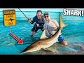 SHARK Caught Using THOUSANDS Of Live Fish! (sharks smell blood)