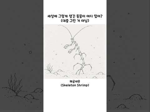 세상에 그렇게 생긴 동물이 어디 있어?(대충 그린 거 아님) thumbnail
