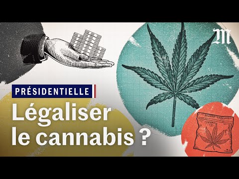 Vidéo: La drogue est-elle légale chez nous ?