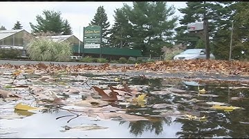 Wet leaves can make for slippery driving conditions