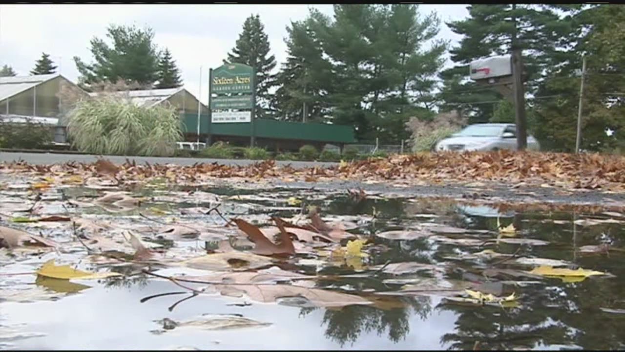 Wet leaves can make for slippery driving conditions YouTube