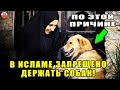 ПО ЭТОЙ ПРИЧИНЕ СОБАКА В ИСЛАМЕ ГРЯЗНОЕ ЖИВОТНОЕ! ПРОРОК РАССКАЗАЛ НАМ ОБ ЭТОМ!