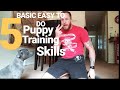 Gambar cover Training a blue nose pitbull puppy for first time Dog owners