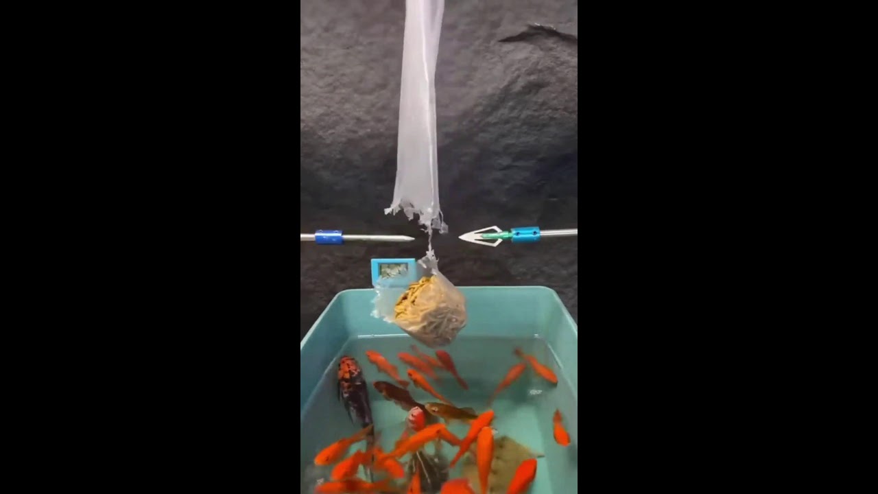 СТРИМ ОНЛАЙН ШОРТС ИГРАЕМ