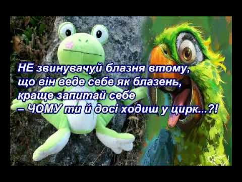 Коломийки Потужний ЗЕбілізм виконує автор Міхалич м Херсон 