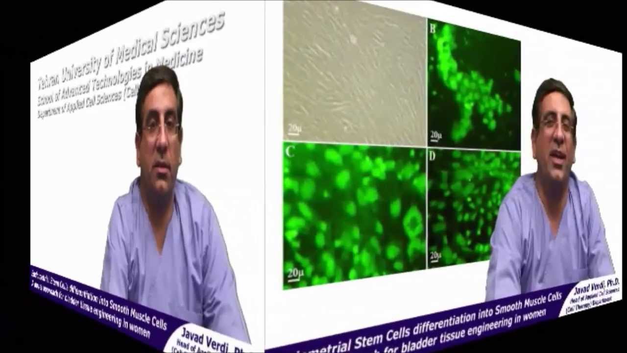 Endometrial stem cells for bladder tissue engineering