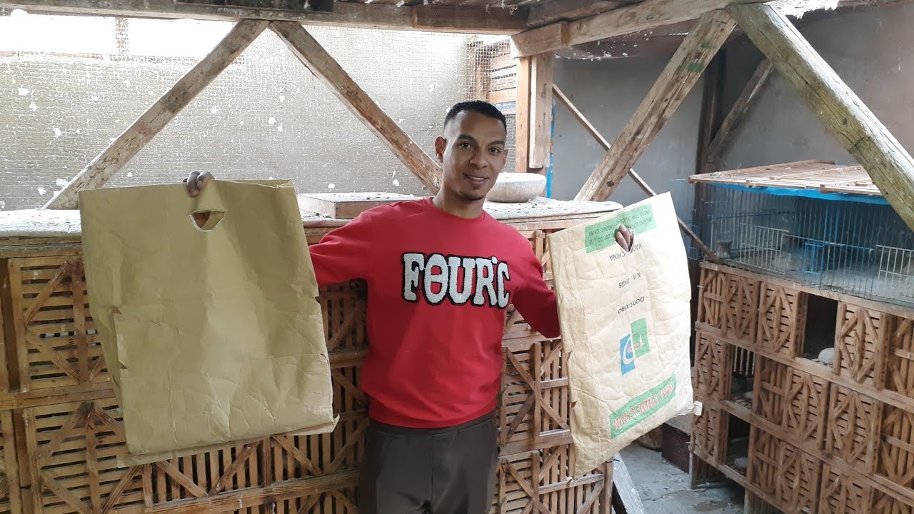 سلاكه كامله.كلها بلق 🕊للبيع قصوص شغاله بفضل الله. بسعرها 01124216092.👍...مع #كوتوادم😞