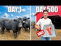 Building Cattle Business From Scratch (Steak for Sale) Mp3 Song