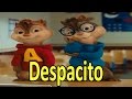 Ardillas - Despacito (Luis Fonsi) | Letra + Descarga