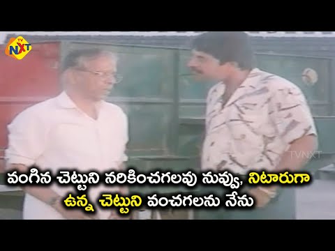 వంగిన చెట్టుని నరికించగలవు..నిటారుగా ఉన్న చెట్టుని వంచగలను | Lawyer The Great Movie Scenes | |TVNXT