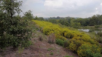 GH3 50Mb/s IPB - Grading Tests
