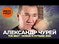 Александр Чурей - The Best - Новое и лучшее 2022