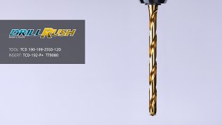 Value Added Premium Drilling with Self-Centering Capability: DRILL-RUSH P+ Net Worth
