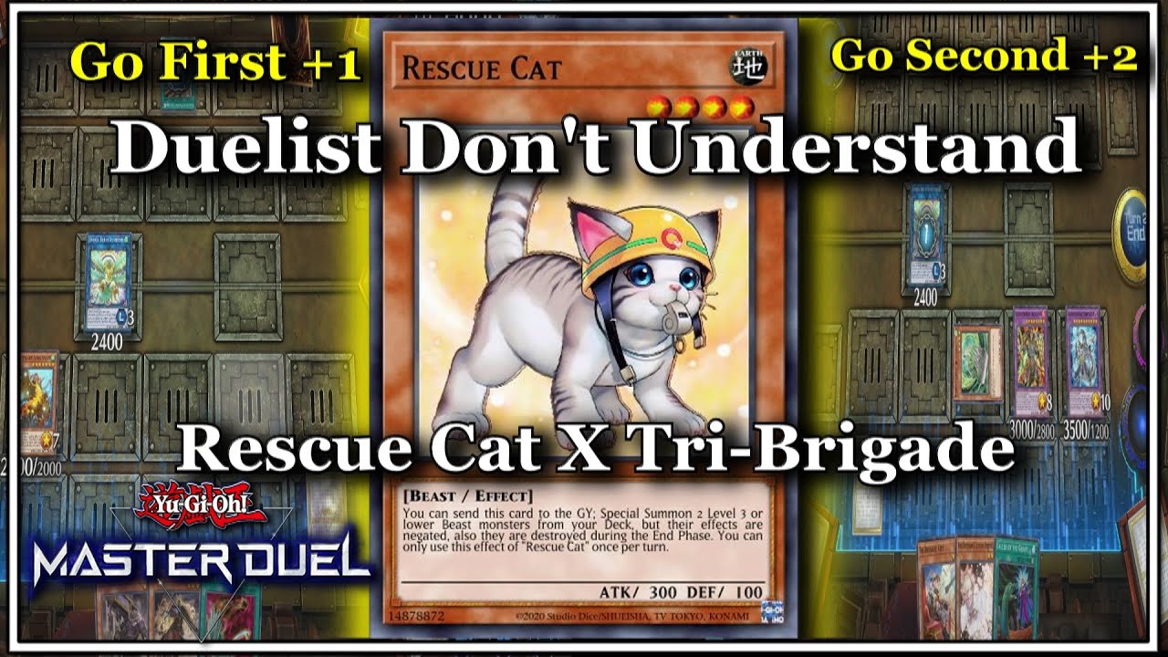 (Go First or Second) Rescue Cat X Tri-Brigade Omni Negate Combo | Yu-Gi-Oh! Master Duel (Go First or Second) Rescue Cat X Tri-Brigade Omni Negate Combo | Yu-Gi-Oh! Master Duel