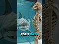 What If You Had a SHARK as a Pet for 7 Days? #storytime #shark