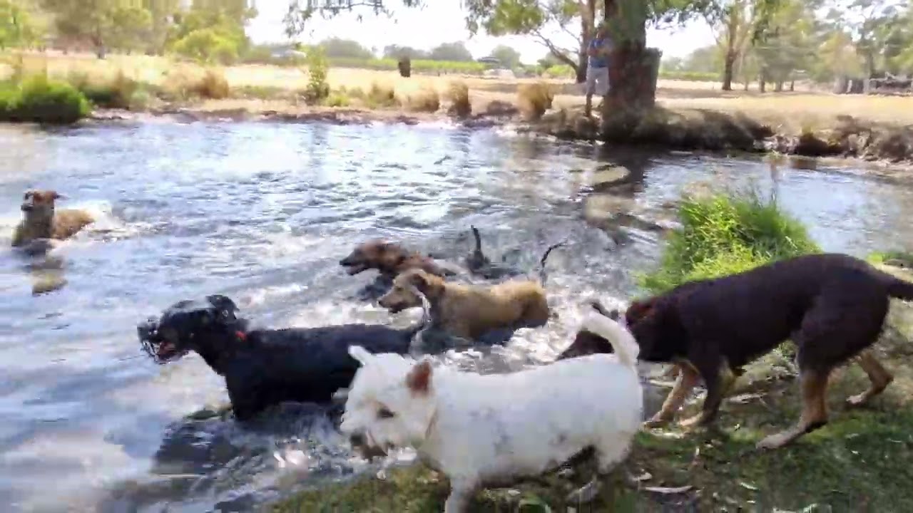 The Thunderous Thursday crew crashing in (in komos case quite literally!)