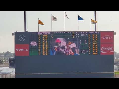 20220709　試合前に流れる｢GO！GO！ソフトバンクホークス｣　福岡ｿﾌﾄﾊﾞﾝｸﾎｰｸｽのｵﾘｼﾞﾅﾙ応援ｿﾝｸﾞ@ﾀﾏﾎｰﾑ ｽﾀｼﾞｱﾑ筑後［ﾌｧｰﾑ ｳｴｽﾀﾝ･ﾘｰｸﾞ］ﾀﾏｽﾀ筑後