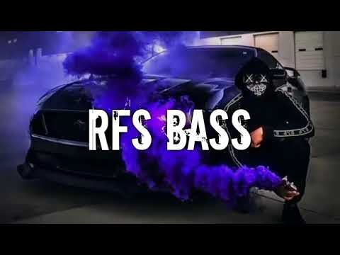 Gorilla Zoe -