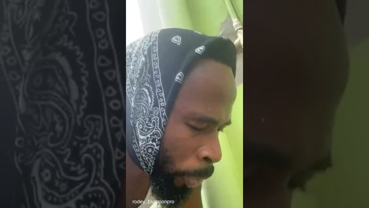 PINKY SPOTS A CAPYBARA IN HER YARD !!! 😂😂