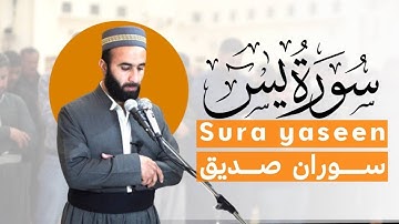 سورة  يسٓ كاملة  ، القارئ سوران صديق