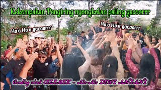 Gending Viral Celemek Gacoorrr Ale-Ale Dewi Anjani, Bikin Pengiring Nyongkolan Tidak Terkendali Kan.