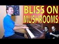 Etienne Venier - Infected Mushroom - Bliss on Mushrooms