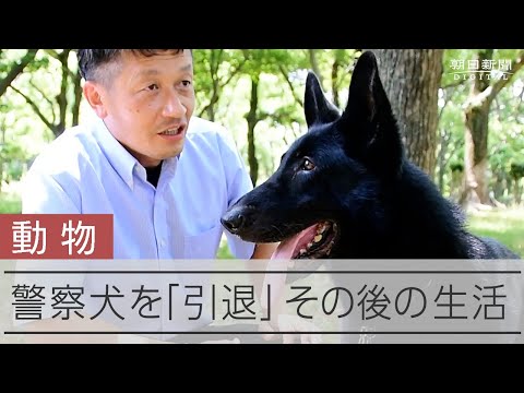 引退なき警察犬　最期の１年、老いる相棒を前に鑑識課員は決意した