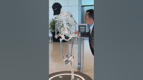 Taboo Temptations: The Forbidden Touch Challenge