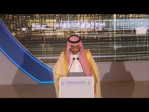 كلمة وزير الصناعة في مؤتمر الأمم المتحدة للتنمية الصناعية