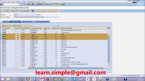 02 LSMW Direct input