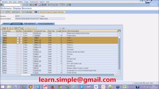 02 LSMW Direct input
