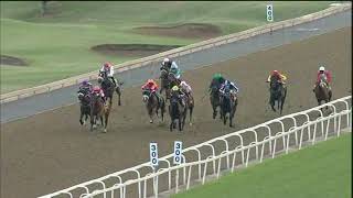 Vidéo de la course PMU MAIDEN PLATE 1200